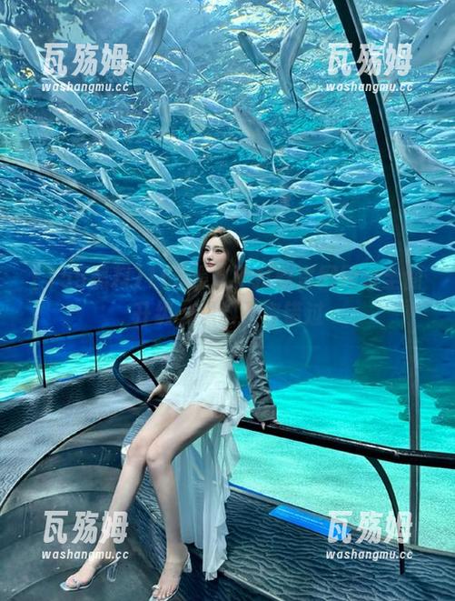 155黑料不打烊官网网址全面升级，黑料不容错过