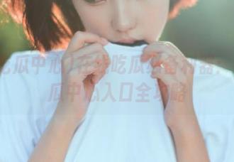 在线吃瓜必备利器：17吃瓜中心入口全攻略