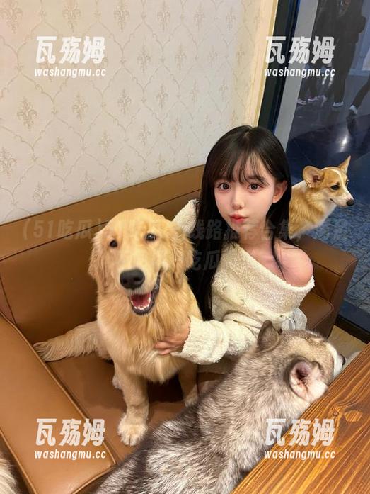 51吃瓜cg线路推荐合集，满足不同用户吃瓜需求