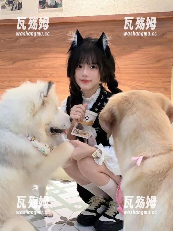 51每日吃瓜 动漫游戏风格51每日吃瓜大赛地址导航最新攻略