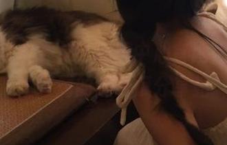 91吃瓜中心官网上线，女生专属的趣味瓜分享站