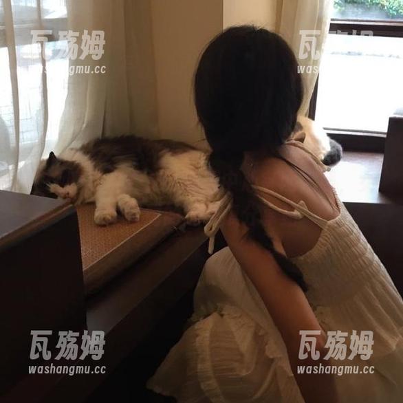 91吃瓜中心 91吃瓜中心官网上线,女生专属的趣味瓜分享站
