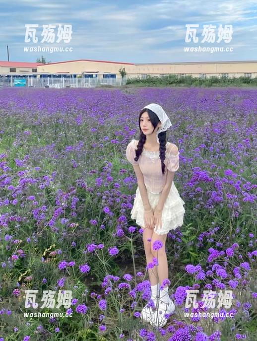 五一吃瓜网 五一吃瓜网网页版今日吃瓜,苹果版同步火热开放